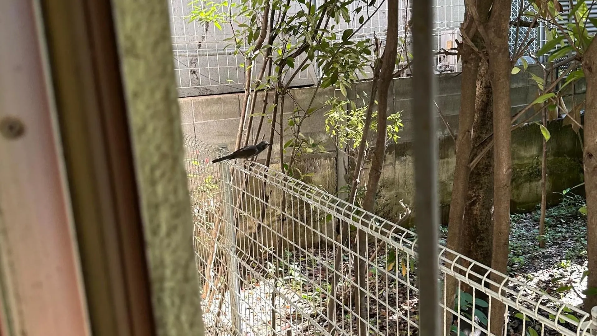 神楽坂戸建てサウス Villa Tokyo
